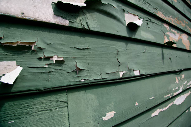 Best Siding Removal and Disposal  in Valley Center, CA